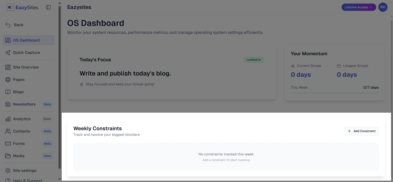 Next is the constraints section, designed to track specific blockers that may limit progress or require attention.